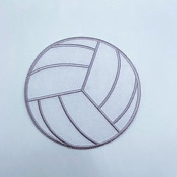 Large Volleyball